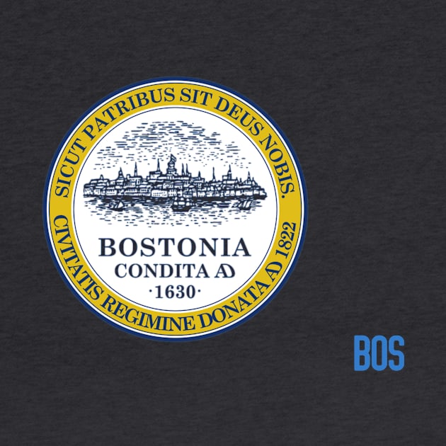 The city flag of Boston by mplusshift2